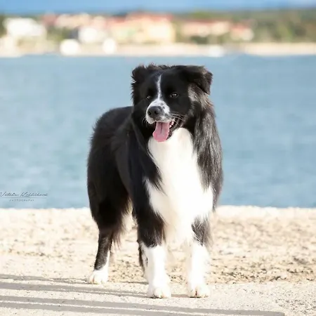 Almenland Lejlighedshotel