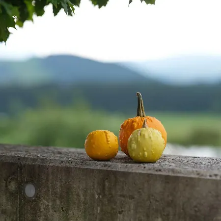 Almenland Aparthotel