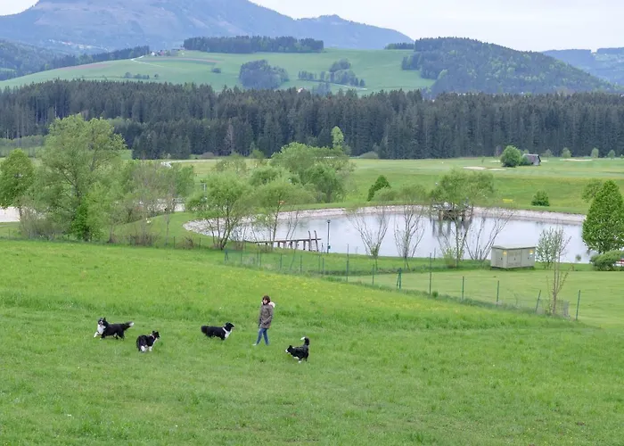Апарт-отель Almenland