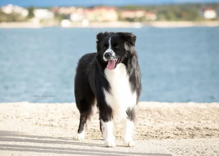 Almenland Апарт-отель